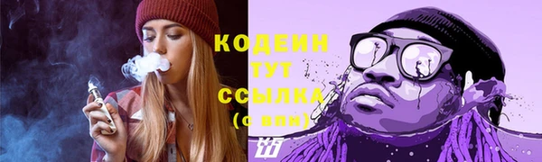 мдпв Великий Новгород