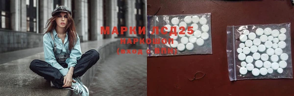 сатива Мурманск