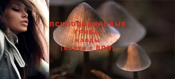 мдпв Великий Новгород