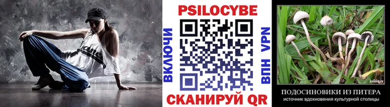 Псилоцибиновые грибы MAGIC MUSHROOMS  Купить где  Фролово 